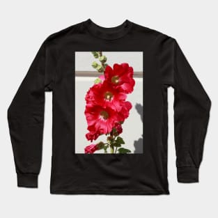 Hollyhock, hollyhock, hollyhock, flower, blossom, red Long Sleeve T-Shirt